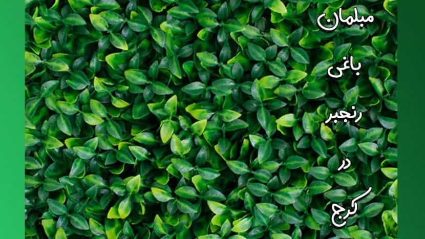 Sale and distribution of Rihoon leaf grass fence